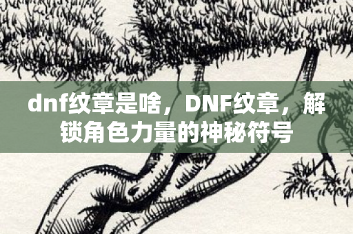 dnf纹章是啥，DNF纹章，解锁角色力量的神秘符号