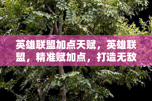 英雄联盟加点天赋，英雄联盟，精准赋加点，打造无敌英雄