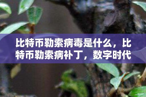 比特币勒索病毒是什么，比特币勒索病补丁，数字时代的网络安全挑战