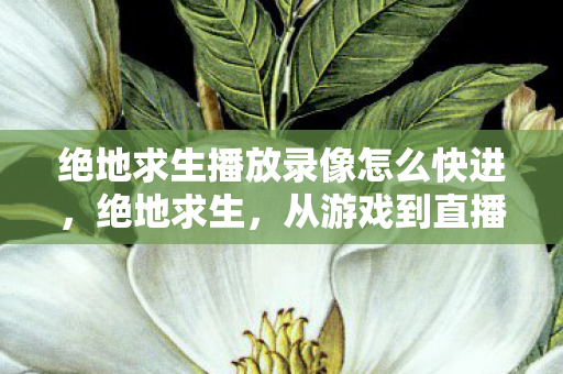 绝地求生播放录像怎么快进,绝地求生,从游戏到直播的绝地求生热潮 绝地求生播放录像怎么快进,绝地求生,从游戏到直播的绝地求生热潮