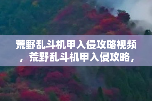 荒野乱斗机甲入侵攻略视频，荒野乱斗机甲入侵攻略，成为终极战士的秘诀