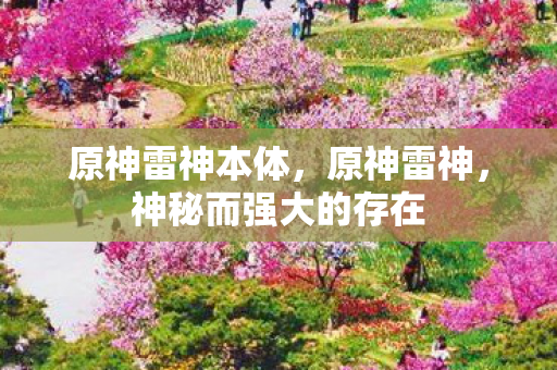 原神雷神本体，原神雷神，神秘而强大的存在