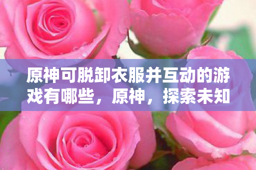 原神可脱卸衣服并互动的游戏有哪些，原神，探索未知世界的奇妙之旅
