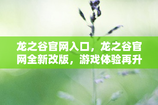 龙之谷官网入口，龙之谷官网全新改版，游戏体验再升级！