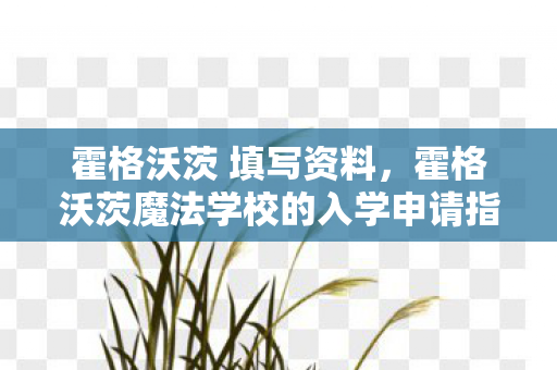 霍格沃茨 填写资料，霍格沃茨魔法学校的入学申请指南，如何填写你的个人资料