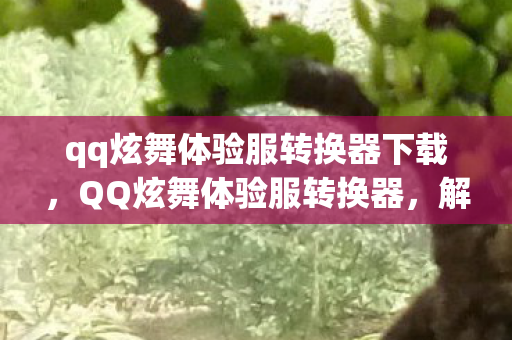 qq炫舞体验服转换器下载，QQ炫舞体验服转换器，解锁新游戏体验的钥匙