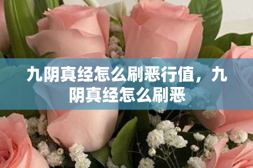 九阴真经怎么刷恶行值，九阴真经怎么刷恶