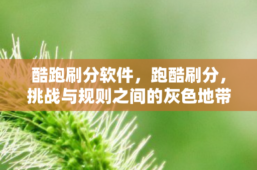 酷跑刷分软件，跑酷刷分，挑战与规则之间的灰色地带