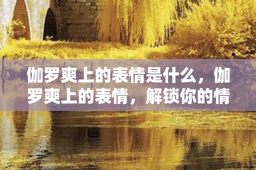 伽罗爽上的表情是什么，伽罗爽上的表情，解锁你的情绪密码