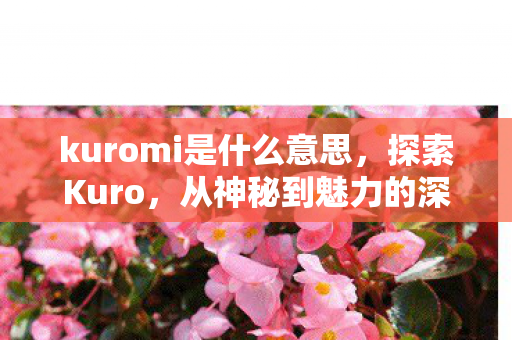 kuromi是什么意思，探索Kuro，从神秘到魅力的深度解析