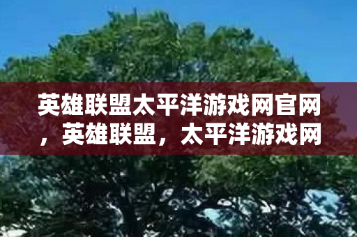 英雄联盟太平洋游戏网官网，英雄联盟，太平洋游戏网独家解析