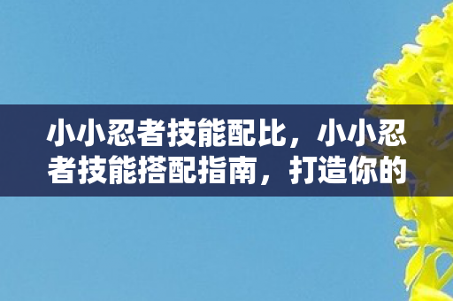 小小忍者技能搭配指南图片