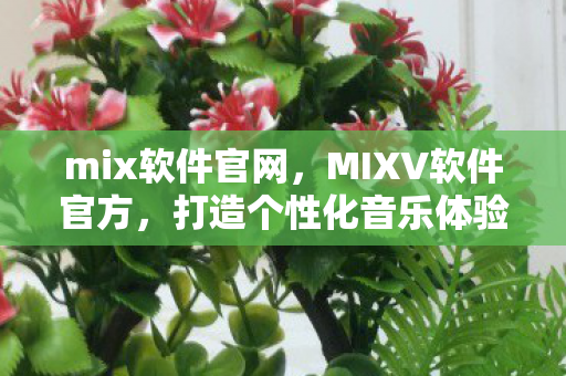 mix软件官网，MIXV软件官方，打造个性化音乐体验的新选择