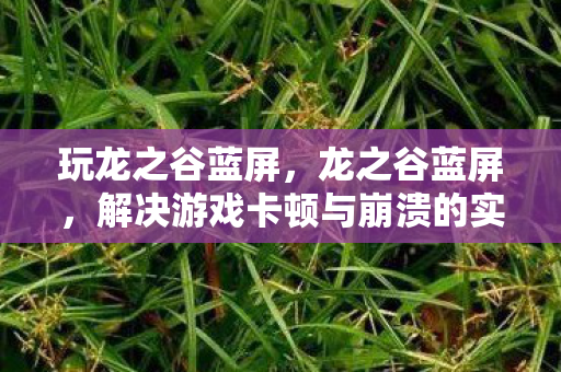玩龙之谷蓝屏，龙之谷蓝屏，解决游戏卡顿与崩溃的实用指南
