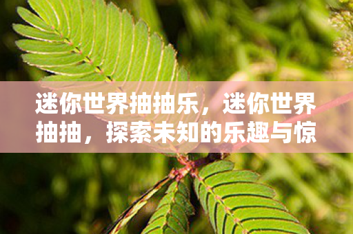 迷你世界抽抽乐,迷你世界抽抽,探索未知的乐趣与惊喜 迷你世界抽抽乐,迷你世界抽抽,探索未知的乐趣与惊喜