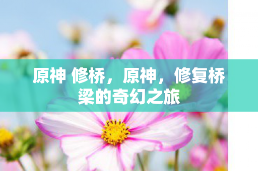 原神 修桥，原神，修复桥梁的奇幻之旅