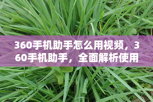 360手机助手怎么用视频，360手机助手，全面解析使用教程
