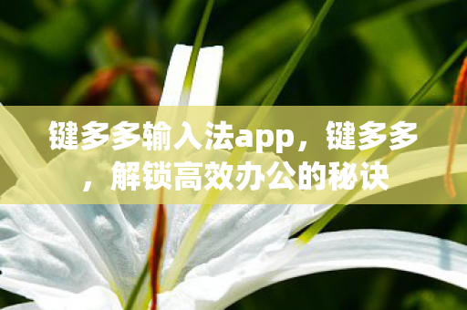 键多多输入法app图片