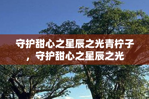 守护甜心之星辰之光青柠子，守护甜心之星辰之光