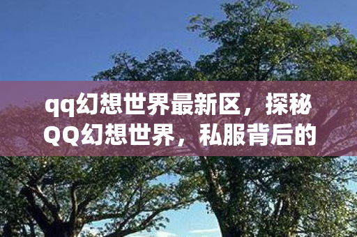 qq幻想世界最新区，探秘QQ幻想世界，私服背后的故事与风险