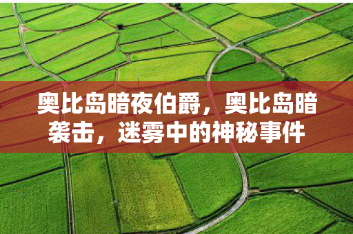 奥比岛暗夜伯爵，奥比岛暗袭击，迷雾中的神秘事件