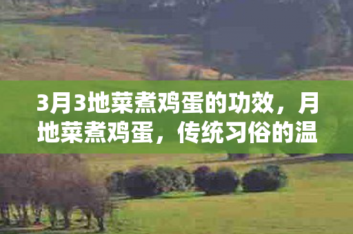 3月3地菜煮鸡蛋的功效图片