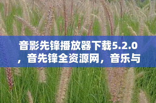 音影先锋播放器下载5图片