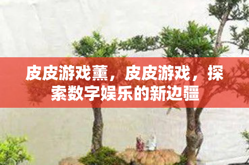 皮皮游戏薰，皮皮游戏，探索数字娱乐的新边疆