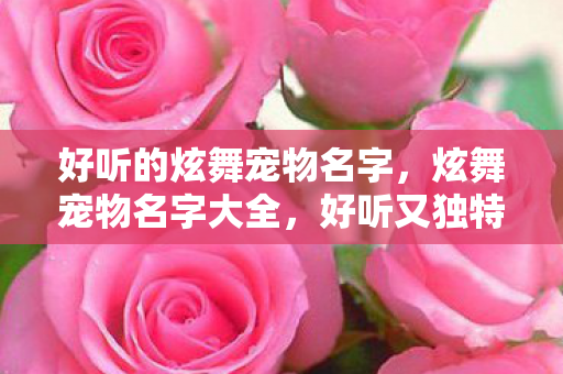 好听的炫舞宠物名字,炫舞宠物名字大全,好听又独特的名字推荐 好听的炫舞宠物名字,炫舞宠物名字大全,好听又独特的名字推荐