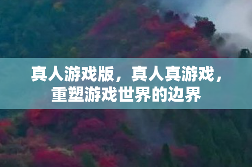 真人游戏版，真人真游戏，重塑游戏世界的边界