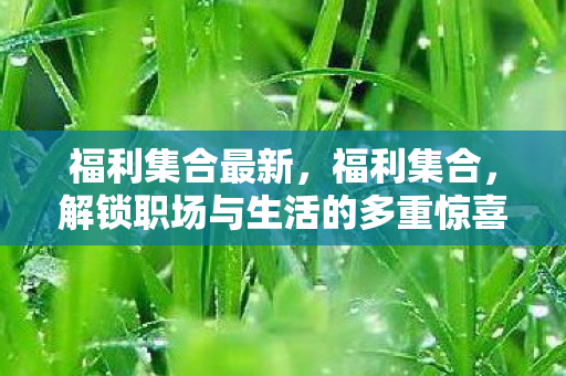 福利集合最新,福利集合,解锁职场与生活的多重惊喜 福利集合最新,福利集合,解锁职场与生活的多重惊喜
