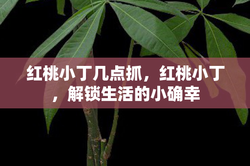 红桃小丁几点抓，红桃小丁，解锁生活的小确幸