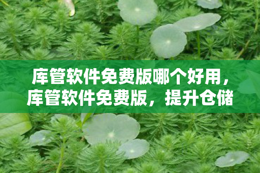 库管软件免费版哪个好用,库管软件免费版,提升仓储管理效率的神器 库管软件免费版哪个好用,库管软件免费版,提升仓储管理效率的神器