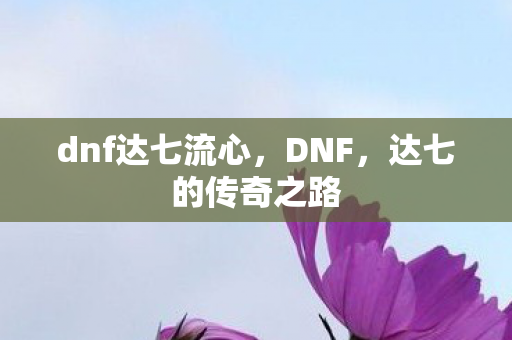 dnf达七流心图片
