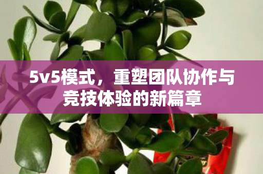 5v5模式，重塑团队协作与竞技体验的新篇章