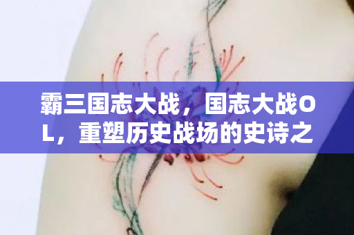 霸三国志大战，国志大战OL，重塑历史战场的史诗之旅