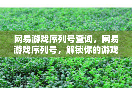 网易游戏序列号查询，网易游戏序列号，解锁你的游戏新世界