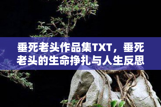 垂死老头作品集TXT，垂死老头的生命挣扎与人生反思
