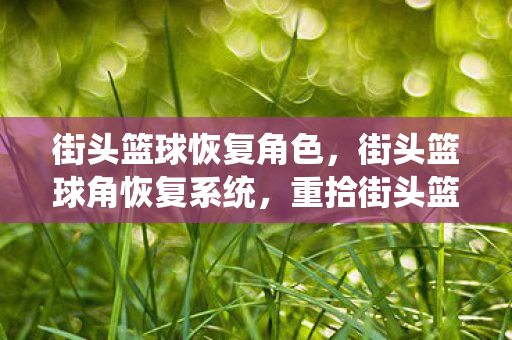 街头篮球恢复角色，街头篮球角恢复系统，重拾街头篮球的激情与梦想