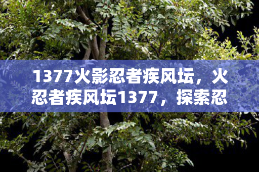 1377火影忍者疾风坛，火忍者疾风坛1377，探索忍者的奥秘与战斗技巧