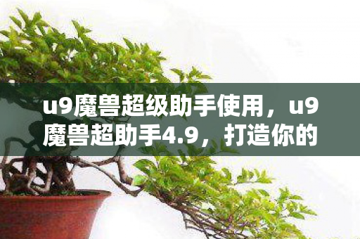 u9魔兽超级助手使用，u9魔兽超助手4.9，打造你的专属魔兽游戏体验