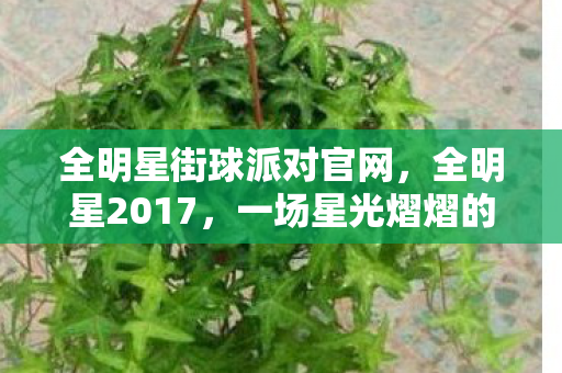 全明星街球派对官网,全明星2017,一场星光熠熠的体育盛宴 全明星街球派对官网,全明星2017,一场星光熠熠的体育盛宴
