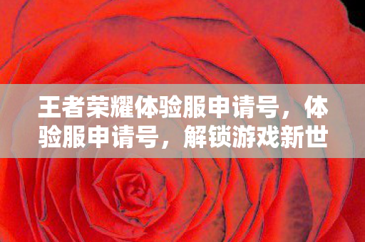 王者荣耀体验服申请号，体验服申请号，解锁游戏新世界的钥匙