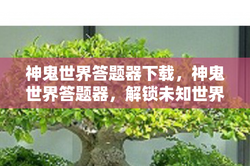 神鬼世界答题器下载，神鬼世界答题器，解锁未知世界的钥匙