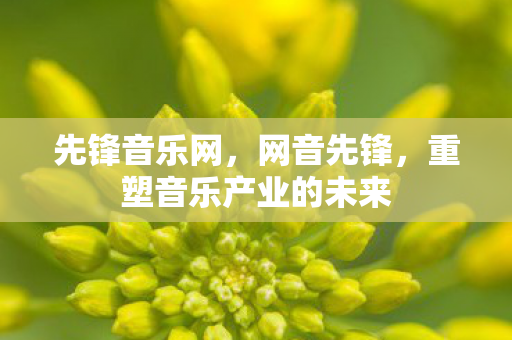 先锋音乐网,网音先锋,重塑音乐产业的未来 先锋音乐网,网音先锋,重塑音乐产业的未来