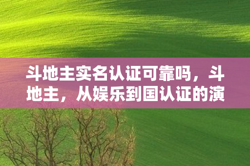 斗地主实名认证可靠吗,斗地主,从娱乐到国认证的演变 斗地主实名认证可靠吗,斗地主,从娱乐到国认证的演变