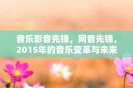 音乐影音先锋，网音先锋，2015年的音乐变革与未来展望