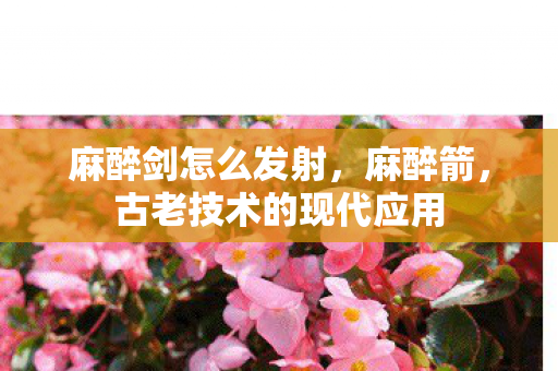 麻醉剑怎么发射，麻醉箭，古老技术的现代应用