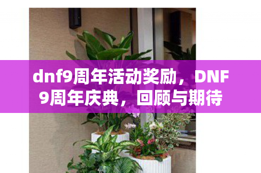 dnf9周年活动奖励，DNF9周年庆典，回顾与期待