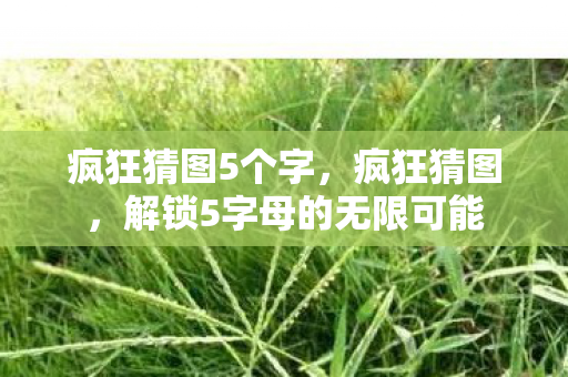 疯狂猜图5个字，疯狂猜图，解锁5字母的无限可能